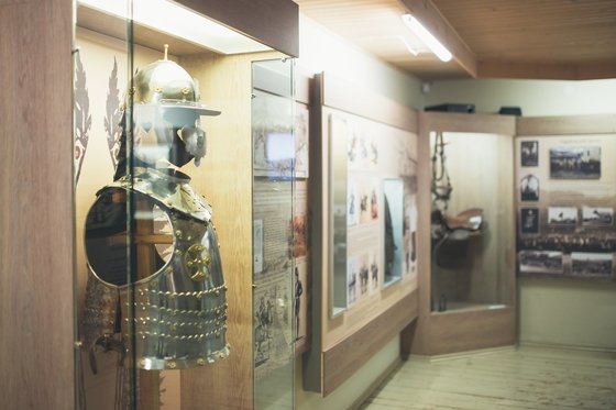 Zirga muzejs 1