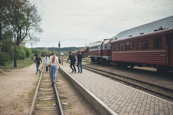 Поездки на Узкоколейке и музей узкоколейной железной дороги 22