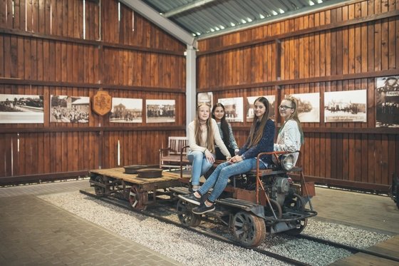 Поездки на Узкоколейке и музей узкоколейной железной дороги 13